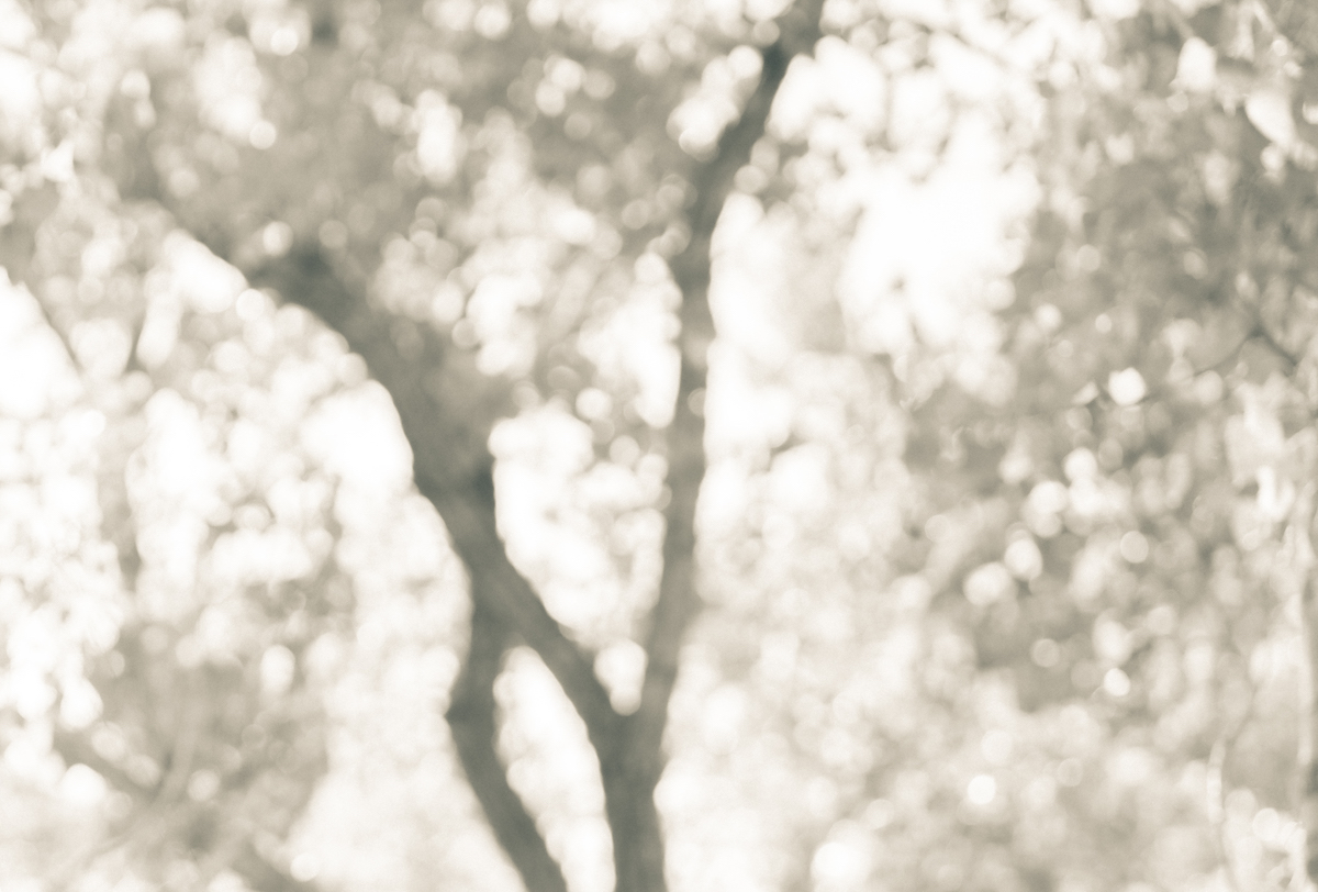 Michele Malbouef Intuitive Energy Healer Walking Through Grass